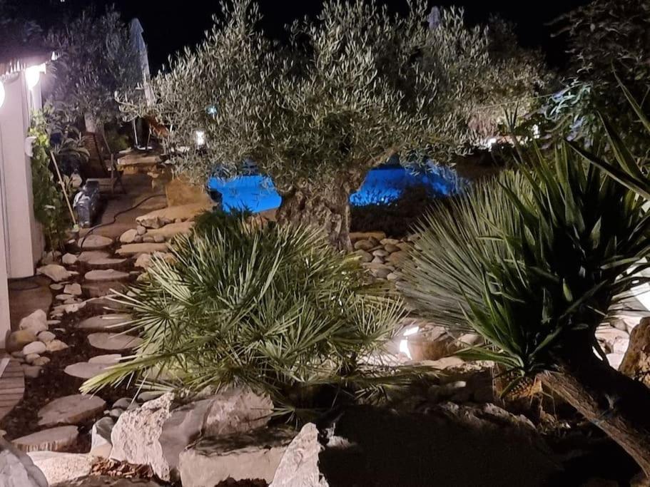 Une Oasis Au Pays De Cezanne Aix-en-Provence Exteriér fotografie