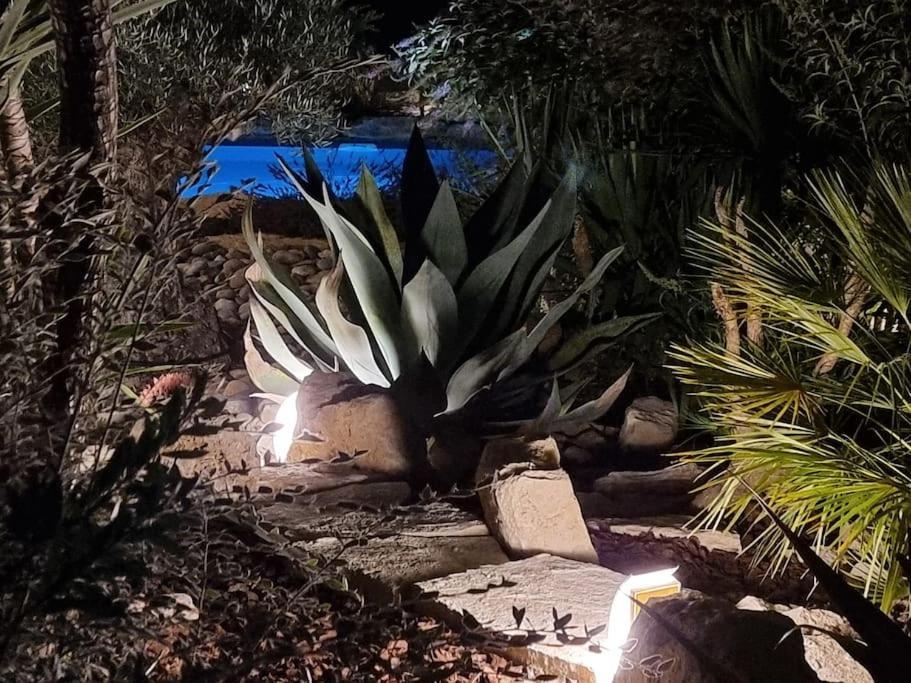 Une Oasis Au Pays De Cezanne Aix-en-Provence Exteriér fotografie