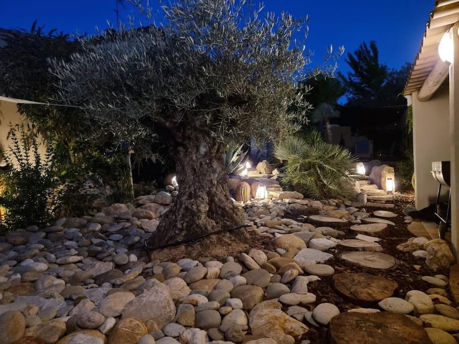 Une Oasis Au Pays De Cezanne Aix-en-Provence Exteriér fotografie